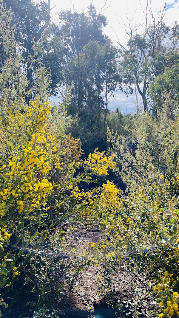 Mount Cooke 2