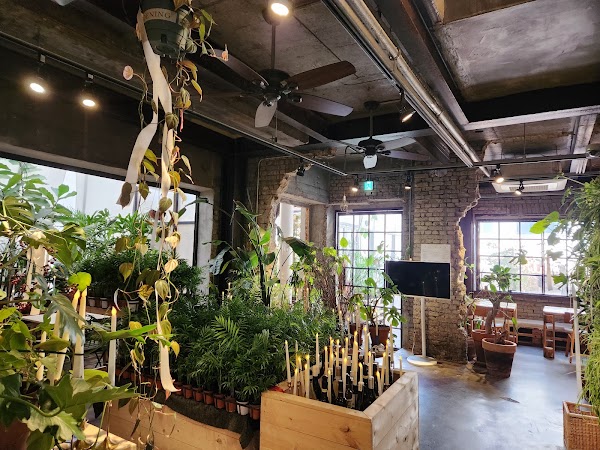 Urban Plant 3