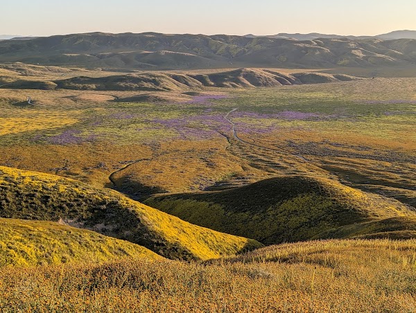 Carrizo Plain National Monument 1