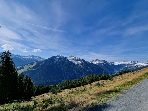 Berg Kodok 5