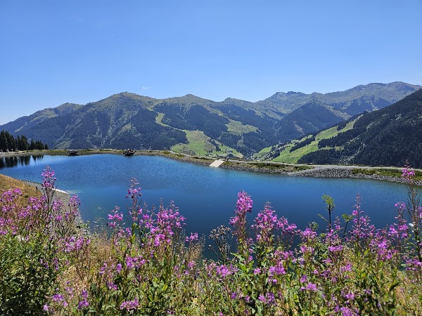 Berg Kodok 4