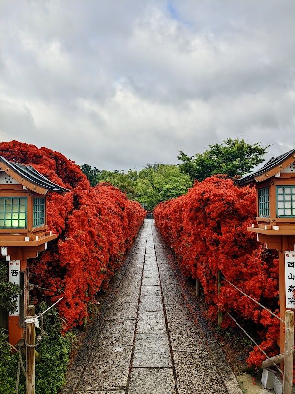 Nagaoka Tenmangu Shrine 2