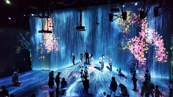 teamLab Borderless: MORI Building DIGITAL ART MUSEUM 5