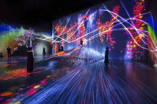 teamLab Borderless: MORI Building DIGITAL ART MUSEUM 4