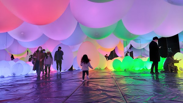 teamLab Borderless: MORI Building DIGITAL ART MUSEUM 3