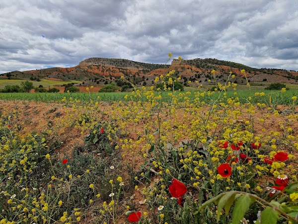 El Cañón Rojo 5