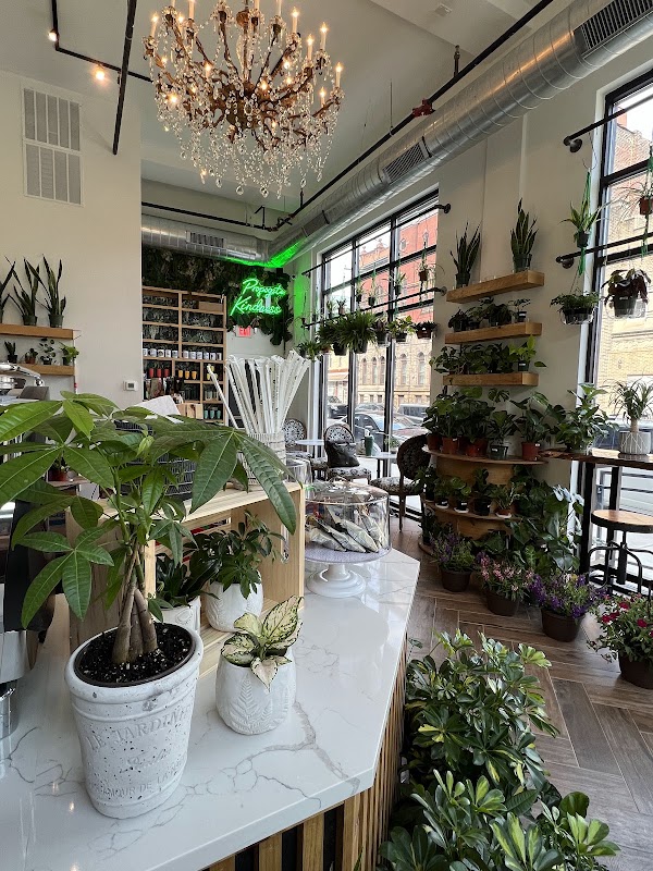 The Ground Coffee, Plants & Gifts 1