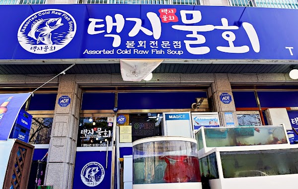 택지물회