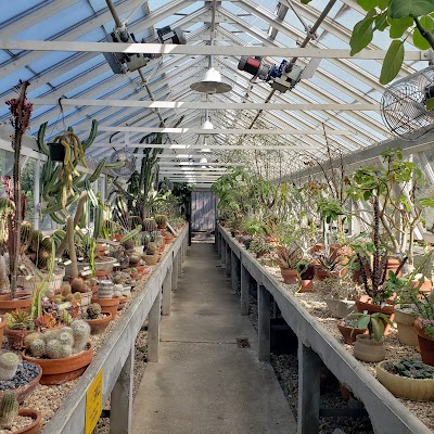 New Orleans Botanical Garden 1