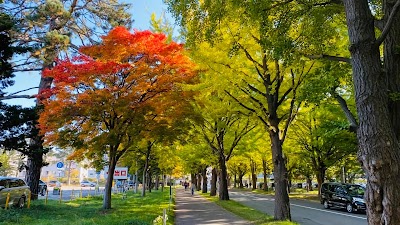 Hokkaido University 1
