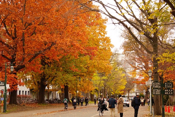 Hokkaido University 5
