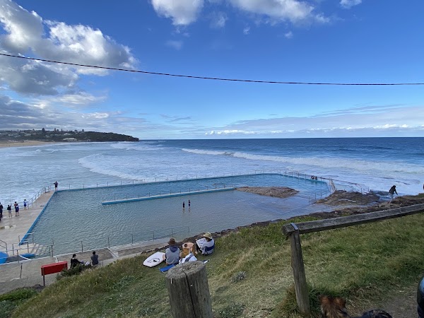 South Curl Curl Rockpool 1