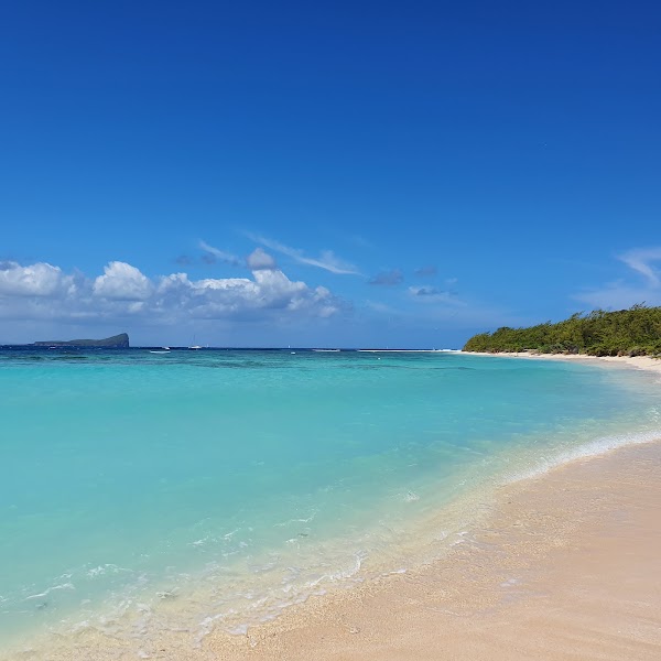 Flat Island