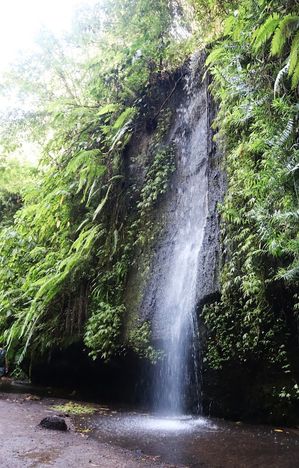 Tukad Cepung Waterfall 5