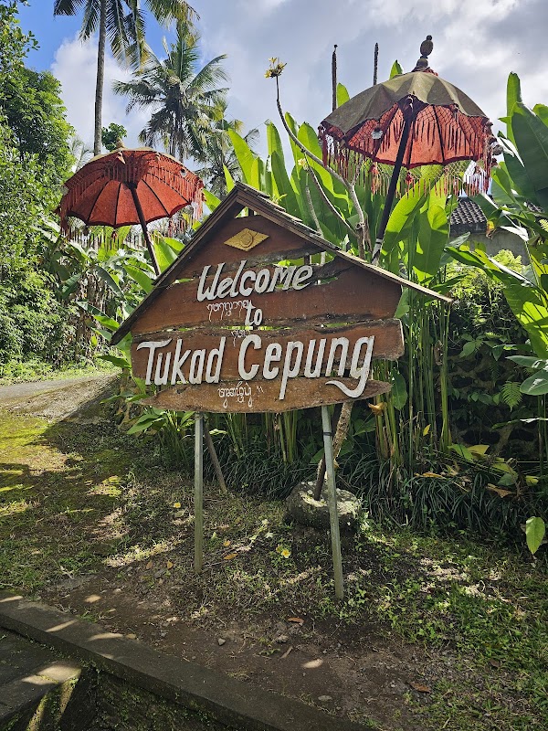 Tukad Cepung Waterfall 4
