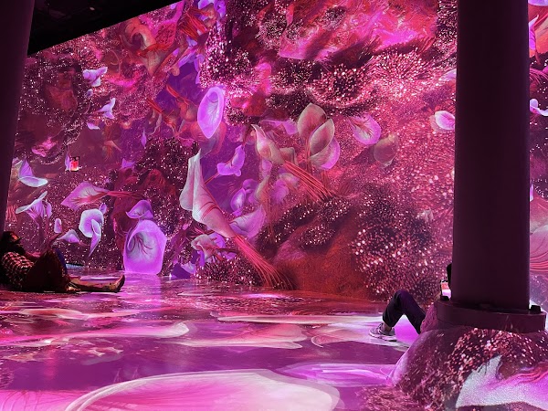 ARTECHOUSE NYC 3