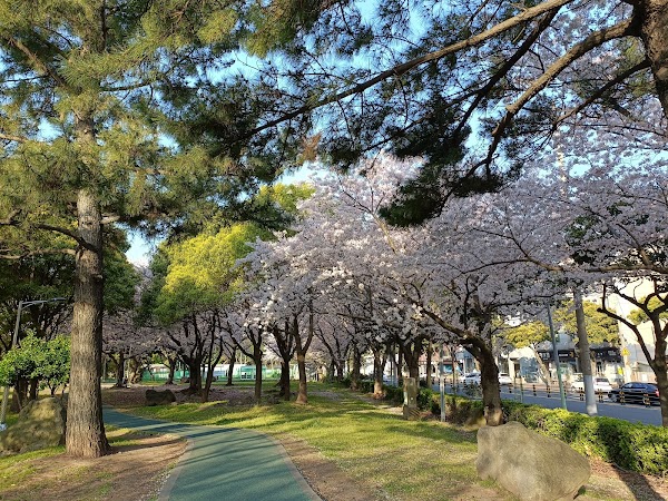 제주신산근린공원 3