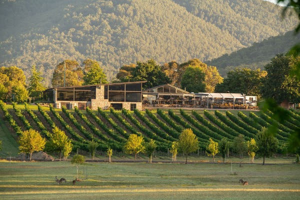 Boat O'Craigo, Yarra Valley 5