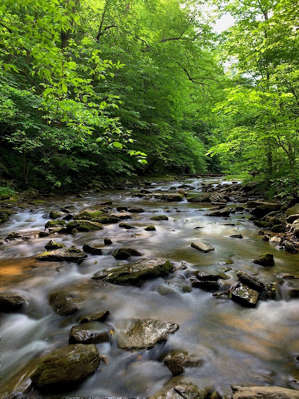 Natural Bridge State Park 4