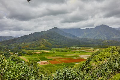 Hanalei Valley Lookout 1