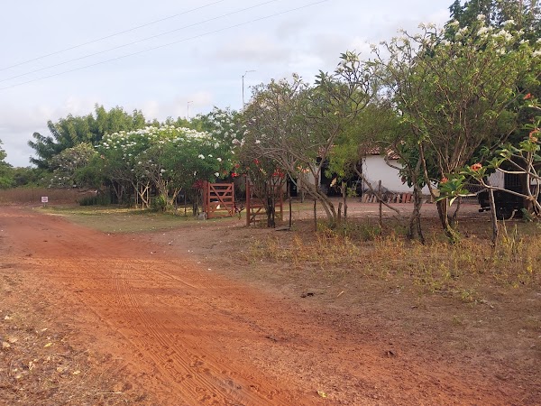 Fazenda punau