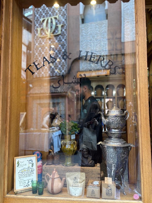 The Moroccan Botanist 1