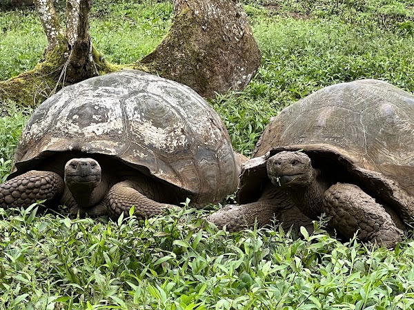Parque Nacional Galápagos 1