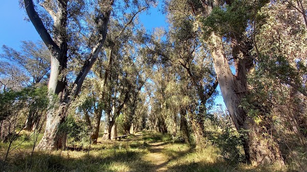 Natural Reserve Ing Maschwitz