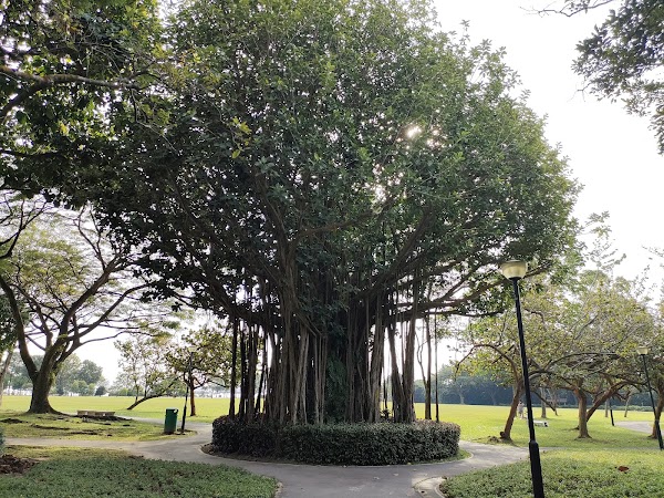 West Coast Park 2
