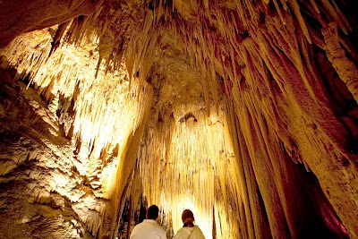 Hastings Caves and Thermal Springs