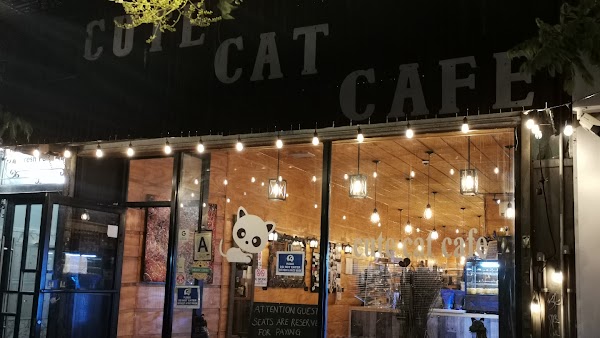 Cute Cafe
