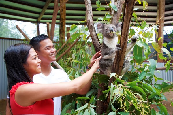 Oakvale Wildlife Park