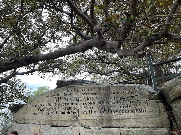 Mrs Macquarie's Chair 1