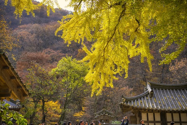 Ungok Seowon 1