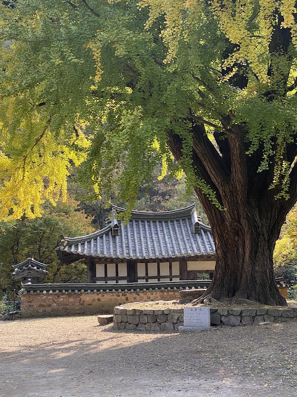 Ungok Seowon 5