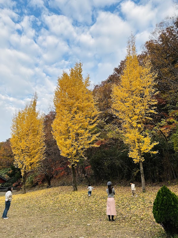 Ungok Seowon 3