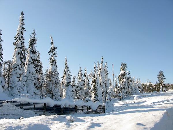 Kuusamo