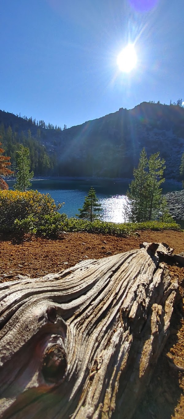 Mount Shasta 3