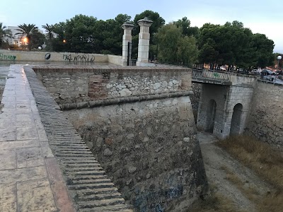 Alicante 26