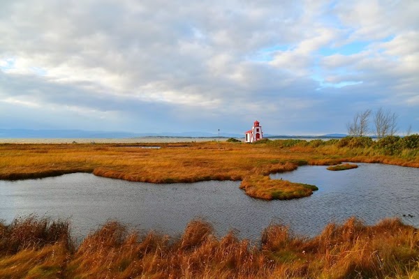 Petit Phare 3