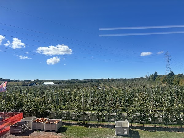 The Grove Orchard & U-Pick