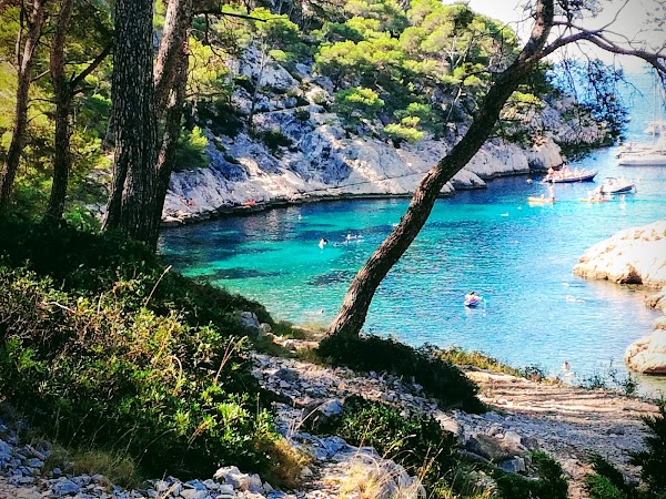 Calanque de Port Pin 5