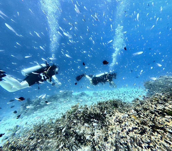 Khao Lak Explorer Diving Center: Similan Islands Liveaboard & Day Trips Richelieu Rock 5