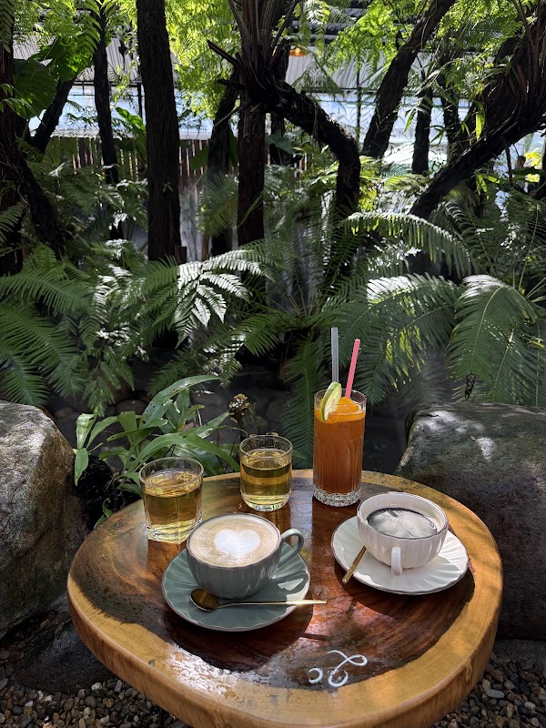Tà Xùa Coffee - Rừng Nhiệt Đới 5