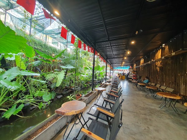Tà Xùa Coffee - Rừng Nhiệt Đới 2