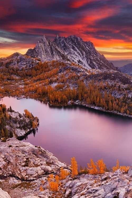 Okanogan-Wenatchee National Forest 3