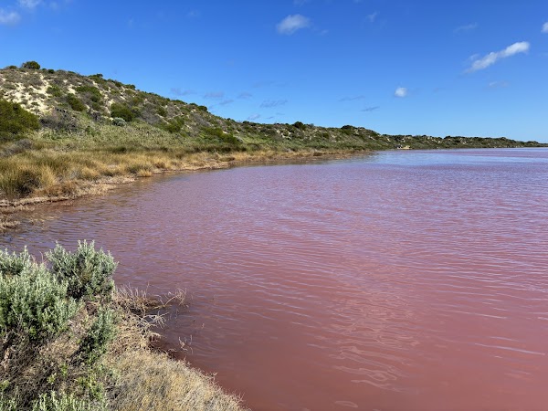 Pink Lake 4