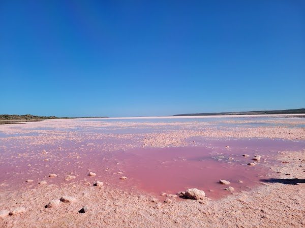 Pink Lake 3