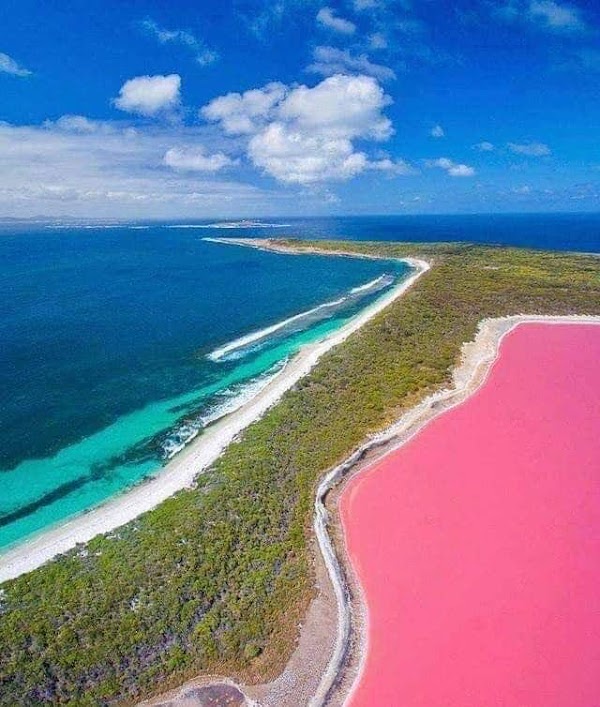Pink Lake 2