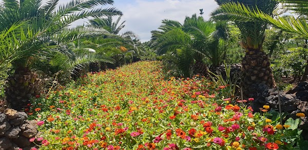 Udo Garden 5